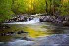 Tennessee-Evening reflections in the Little River at Tremont Art Print